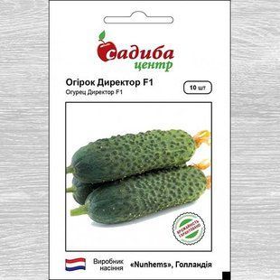 Огірок Директор F1.10 шт.