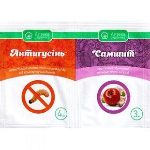 Антигусінь + Самшит