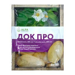 Док Про з.п. 6 гр.