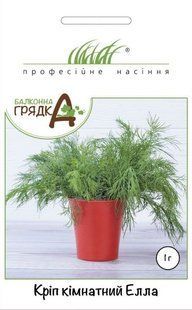 Кріп кімнатний Елла.1г