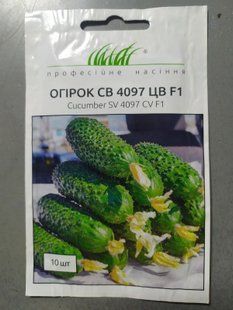 Огірок СВ 4097 ЦВ F1 самозап.10 шт