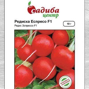 Редька Еспрессо F1.2 гр.