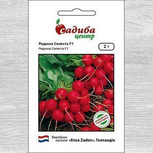 Редька Селеста. 2 гр.