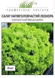Салат Леонора зелений 30 шт